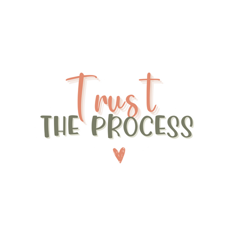 Inspirational Quote Trust The Process Motivational Sticker Vinyl Decal Motivation Stickers- 5