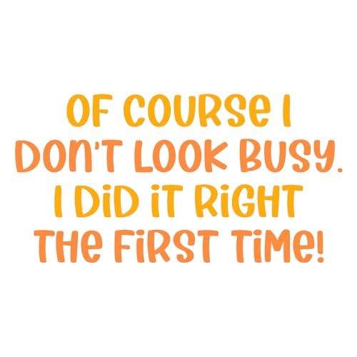 Inspirational Quote "Of Course I Don't Look Busy. I Did It Right the First time!" Motivational Sticker Vinyl Decal Motivation Stickers- 5" Vinyl Sticker Waterproof