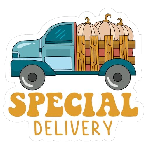 Inspirational Quote "Special Delivery" Motivational Sticker Vinyl Decal Motivation Stickers- 5" Vinyl Sticker Waterproof