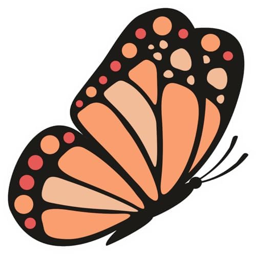 Inspirational Quote "butterfly in doodle style" Motivational Sticker Vinyl Decal Motivation Stickers- 5" Vinyl Sticker Waterproof