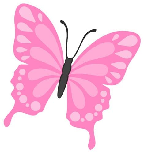 Inspirational Quote "pink Cute butterfly" Motivational Sticker Vinyl Decal Motivation Stickers- 5" Vinyl Sticker Waterproof