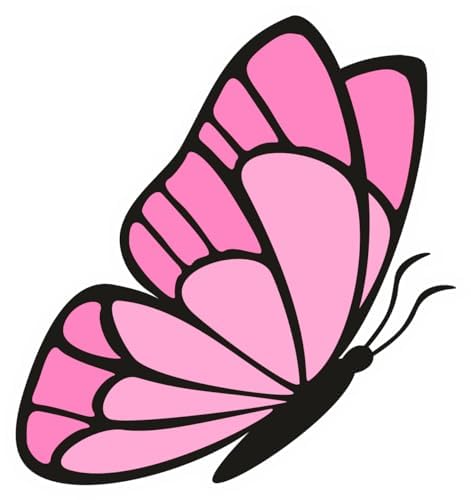 Inspirational Quote "Light Pink Butterfly" Motivational Sticker Vinyl Decal Motivation Stickers- 5" Vinyl Sticker Waterproof