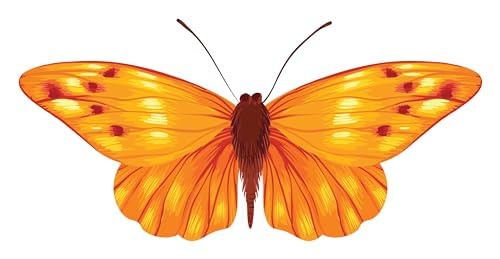 Inspirational Quote "Shinny Orange Butterfly" Motivational Sticker Vinyl Decal Motivation Stickers- 5" Vinyl Sticker Waterproof