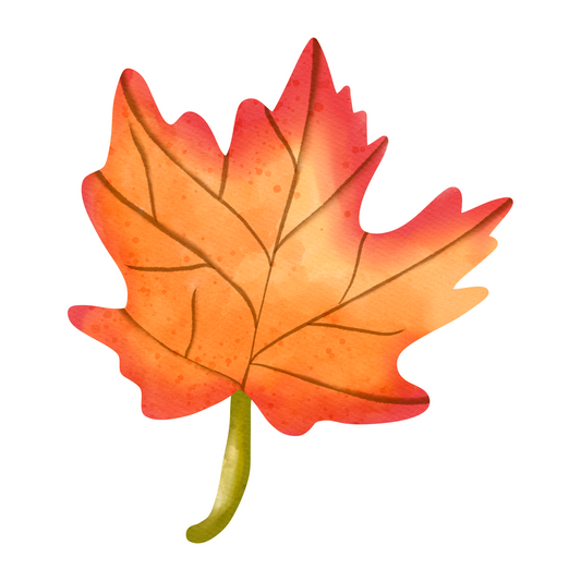 Inspirational Quote Cartoon Maple Leaf Motivational Sticker Vinyl Decal Motivation Stickers- 5" Vinyl Sticker Waterproof