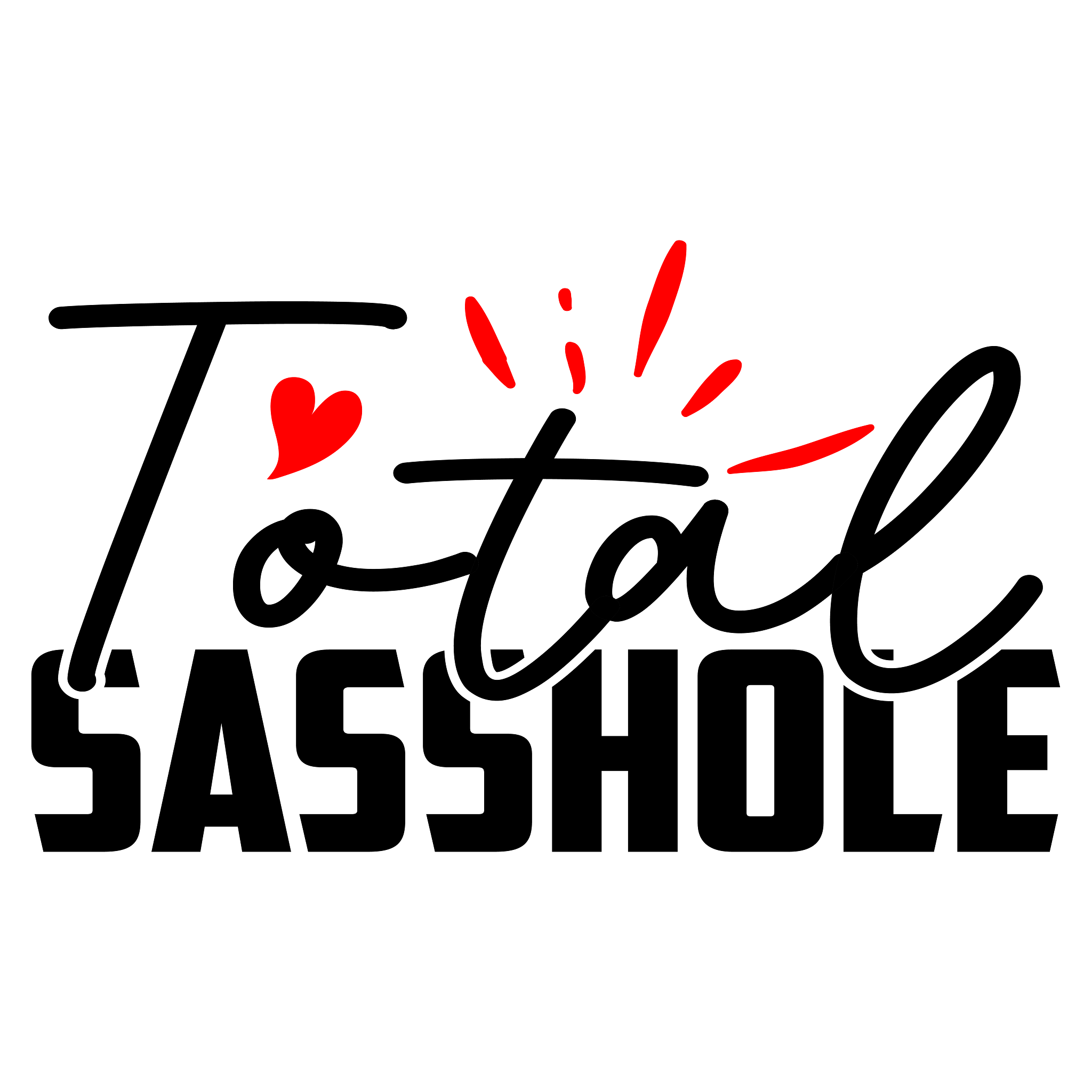 Inspirational Quote "Total Sasshole" Motivational Sticker Vinyl Decal Motivation Stickers- 5" Vinyl Sticker Waterproof